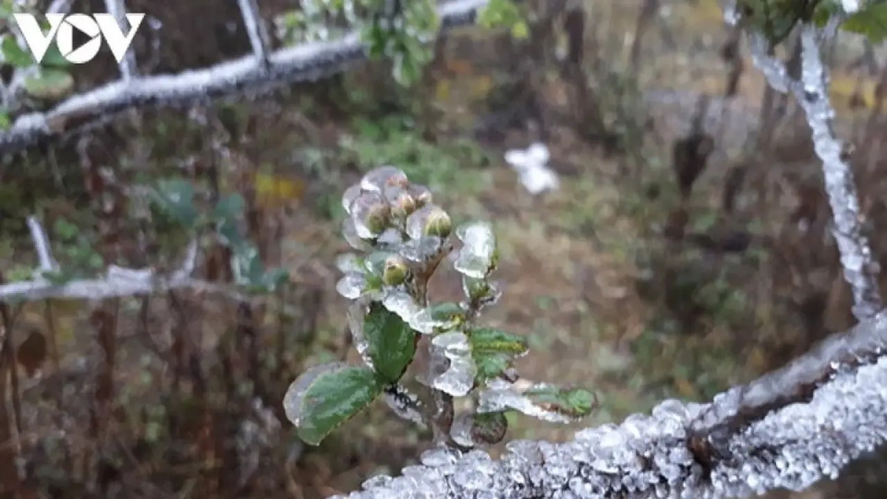 جبهة باردة تضرب شمال فيتنام وسط توقعات بانخفاض الحرارة دون 14 درجة